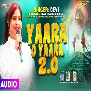 Yaara O Yaara 2.0 (Devi)
