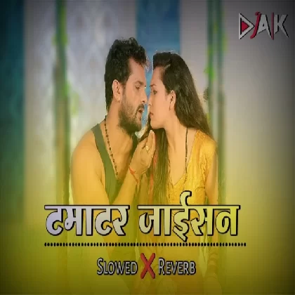 Tamatar Jaisan Khesari Lal Yadav Bhojpuri Lofi Song Slowed-Reverb