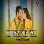 Tamatar Jaisan Khesari Lal Yadav Bhojpuri Lofi Song Slowed-Reverb