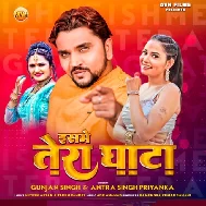 Isme Tera Ghata - Bhojpuri Mp3 Song